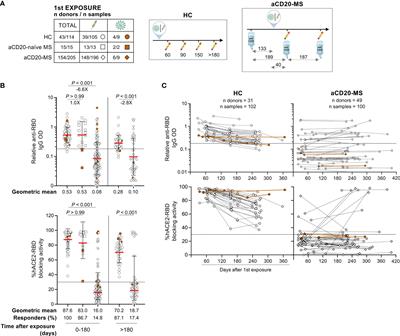 Humoral and cellular responses to repeated COVID-19 exposure in multiple sclerosis patients receiving B-cell depleting therapies: a single-center, one-year, prospective study